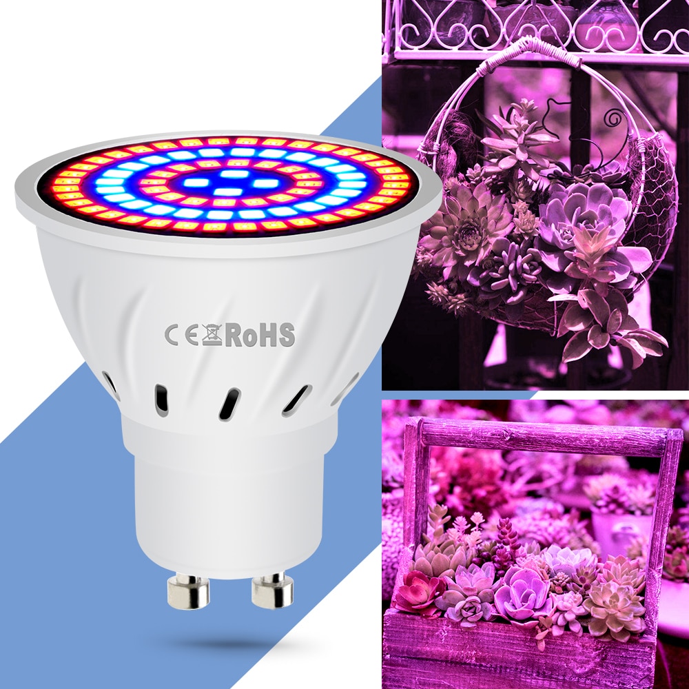 Hydroponic LED Grow Bulb with Different Base Hydroponic LED Grow Bulb with Different Base